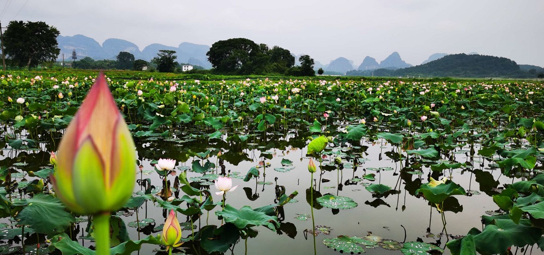 1592445821296273.jpg 0734ab455b5d8f461182c58565651d0.jpg