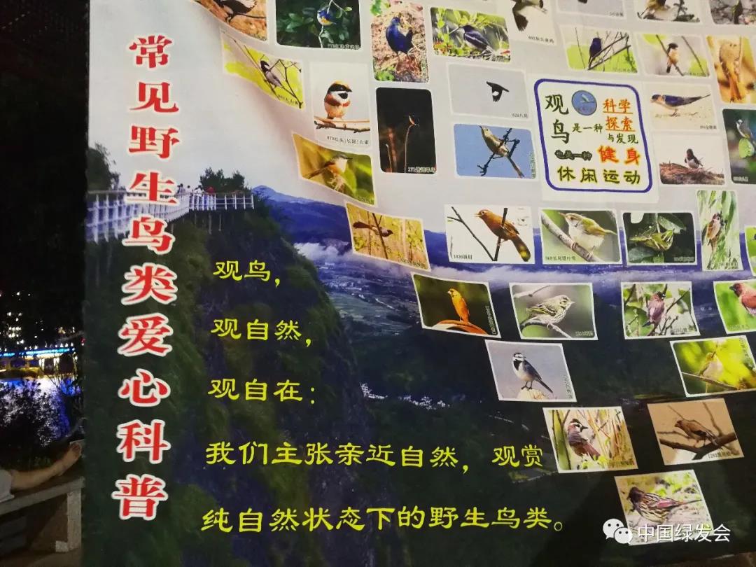 1601798446242699.jpg 1601798446242699.jpg